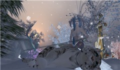 Snow Queen Caliba & Zarek