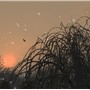 Snowy Sunset in Sengoku