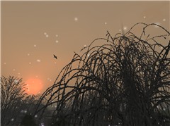 Snowy Sunset in Sengoku