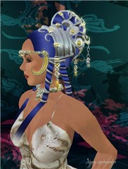 Nautilus 2