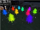 colorful tree