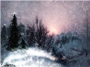 Let it Snow