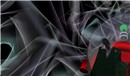 at 4344 hieght_004