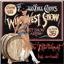 wildwildwestpunky