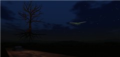 Night flight....