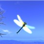 Flying!