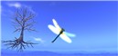 Flying!