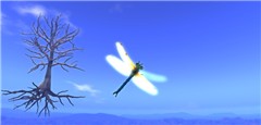 Flying!