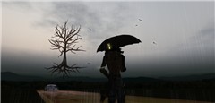 It's in the rain....