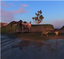 sl africa elephant