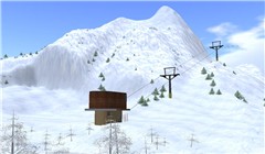 Lindens in the Winter - Koinup Burt