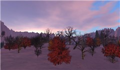 Virtual Sunset - Koinup Burt