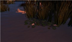 Waterside