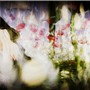 The Dream of the Flowers