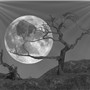 KittyMoon