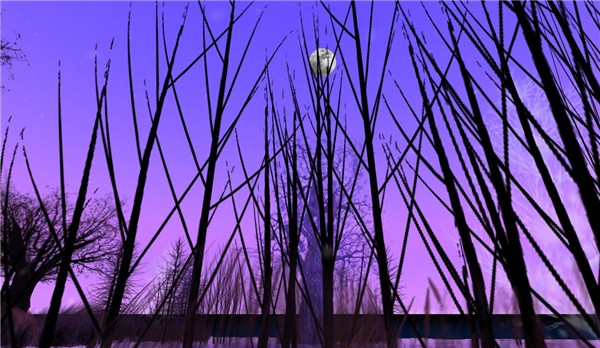 purple winter moon