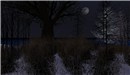 the grass howls at the moon