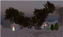 Trees in Templakarn - Koinup Burt