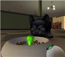 Meow