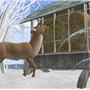 deers in second life - Koinup Burt