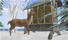 deers in second life - Koinup Burt