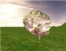 Edusim Brain