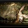 Dream of the butterflies