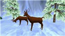 christmas0805