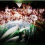 unintended water 4_001