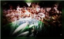 unintended water 4_001