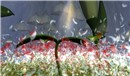 Rezone25_12_08_5