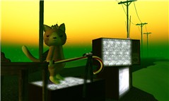 tv-kitty-y00