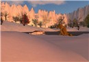 wolfmeet - Socks Clawtooth
