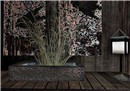 Shapes of Gion 12