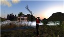 Snap Shot @ Unintended Water