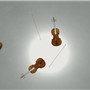 The sunlit violins.
