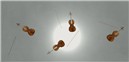 The sunlit violins.