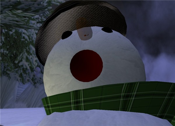 A HAPPY NEW YEAR2009 - Sammy Biddle