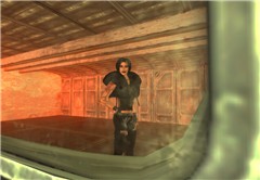 Vita nel Vault
