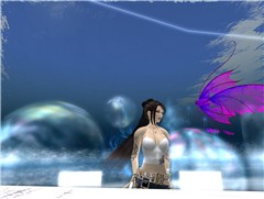 081105_009