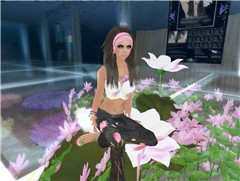 lotus_001