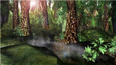 Black Cliffs swamp glade