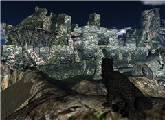 Orson at Black Cliffs ruins