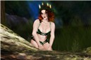 Waiting in the Woods