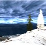 Photography or Paint? - Koinup Burt