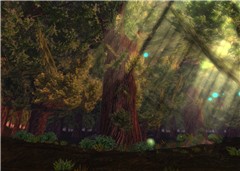 Chakryn Forest