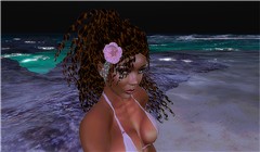 flurryfargis-fleurnocturne