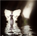 Angel in the Water