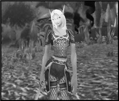 ..paladin!