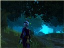 My priest in Duskwood